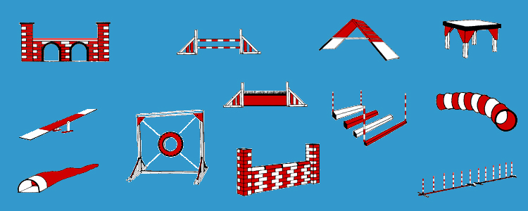 Obstaculos agility carlino