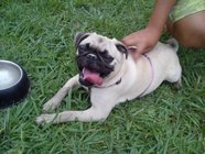 Molly carlina mes enero 2014