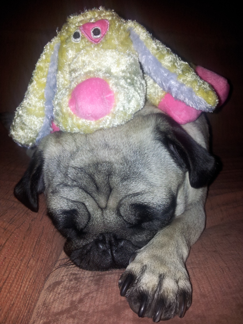 Peggy carlino mes junio 2013