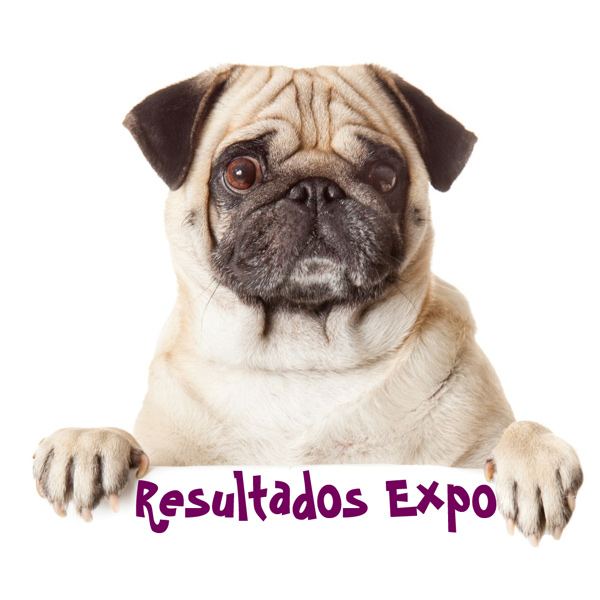 resultados exposiciones