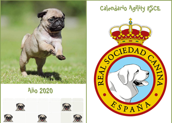 Calendario Agility RSCE 2020