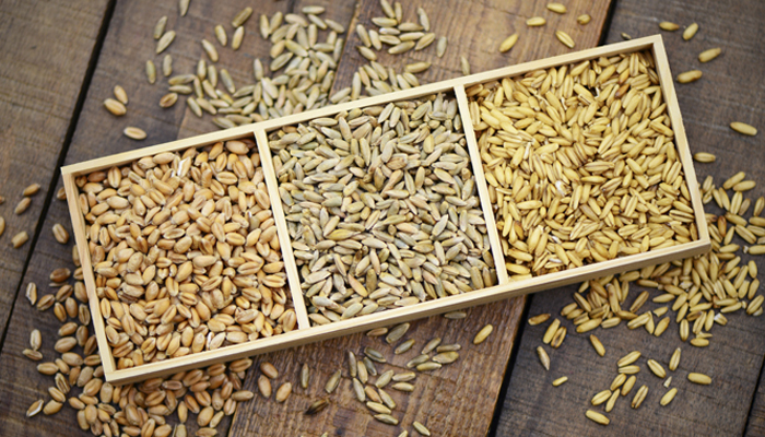 Listado de Piensos con grano
