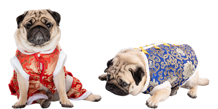 Supersticiones chinas