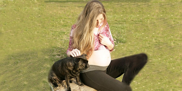 Tengo un carlino y espero un bebé