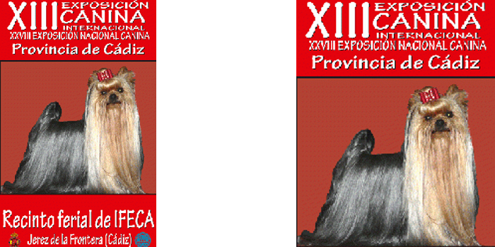 XIII INTERNACIONAL Y XXVIII NACIONAL CADIZ 2010
