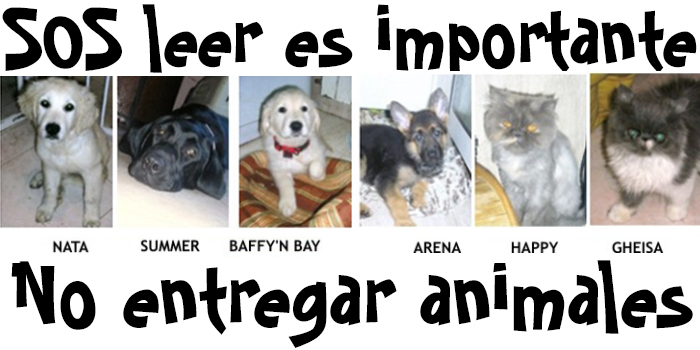 Aviso para protectoras y personas que den su perro/gato en adopción o vendan camadas