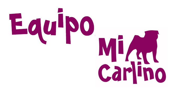 El equipo MiCarlino