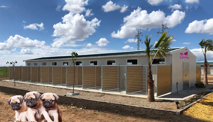 Residencias caninas: Qué son y cuáles son sus ventajas