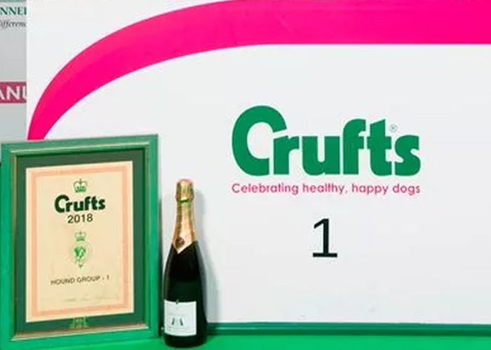 Resultados CRUFTS 2018