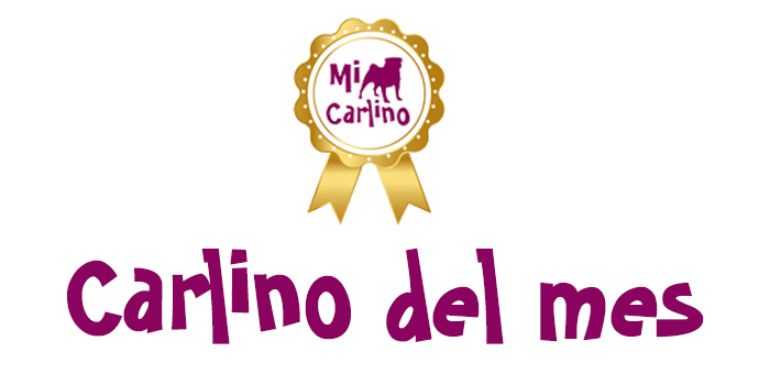 El Carlino del mes