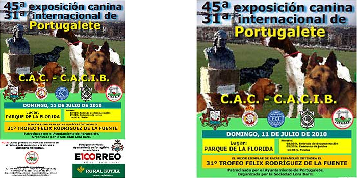 XLV EXPOSICIÓN NACIONAL Y XXXI INTERNACIONAL DE PORTUGALETE