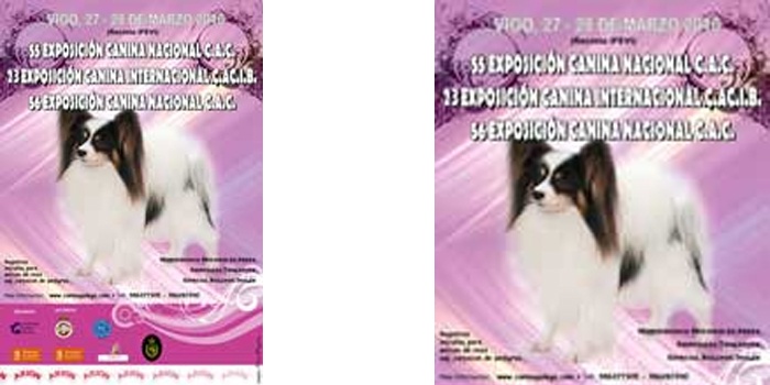 LV Y LVI EXPOSICION NACIONAL CANINA DE VIGO