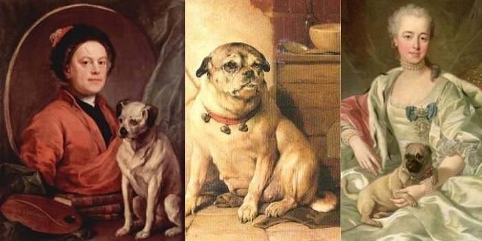 Historia del carlino