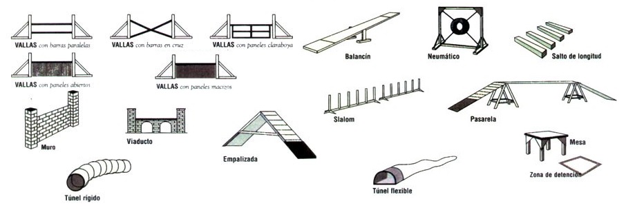 Introducción 
a los obstáculos de agility