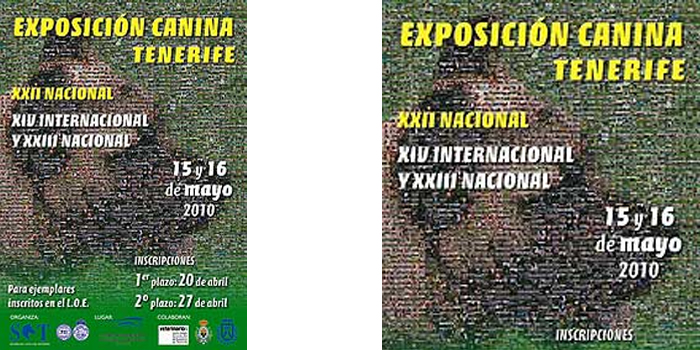 XXII Esposición Nacional de Tenerife