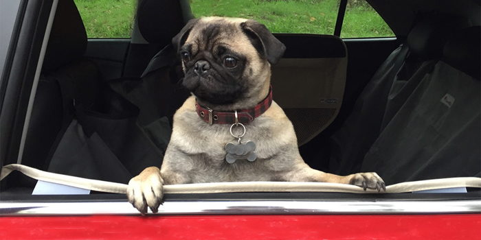 Viajar en coche