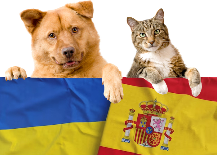 La llegada de refugiados con animales de compañía y el nuevo protocolo de actuación en España
