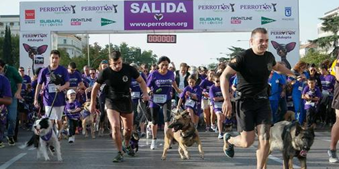 El Perrotón 2013: Un Evento para Promover la Adopción Responsable de Mascotas