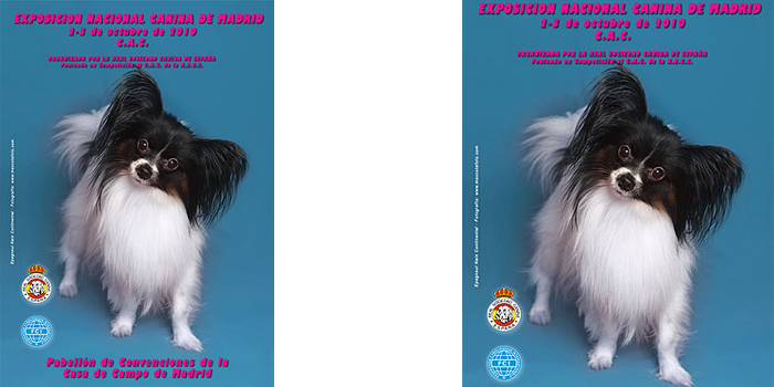 Exposición Nacional Canina de Madrid