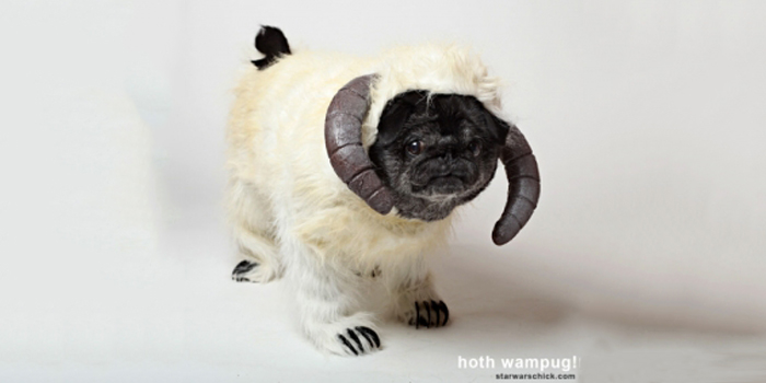 Carlino Starwars