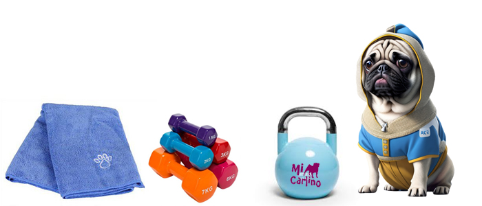 Los carlinos y el ejercicio físico: cómo mantener a tu perro activo y en forma
