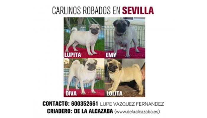 Robo de 5 Carlinas en el Criadero de la Alcazaba