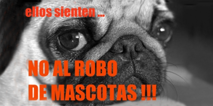 Robo de Mascotas