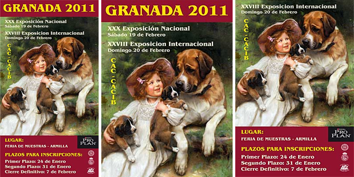EXPOSICION INTERNACIONAL GRANADA 2011