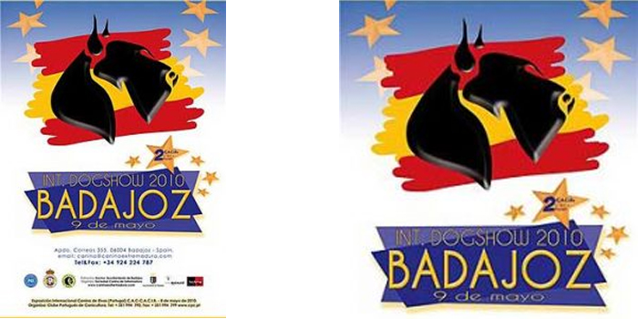 Exposición Internacional canina de Badajoz 2010