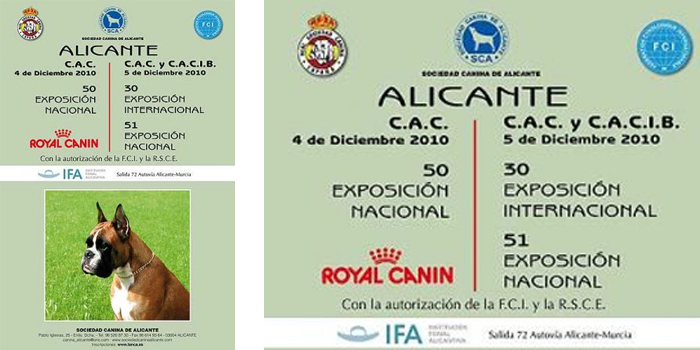 XXX EXPOSICION INTERNACIONAL Y LI NACIONAL DE ALICANTE