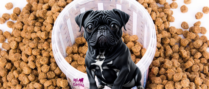 Los carlinos y la alimentación: la dieta adecuada para tu mascota