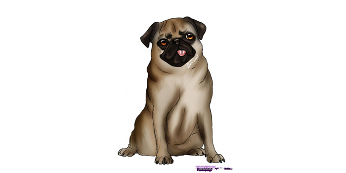 Dibujar un Carlino