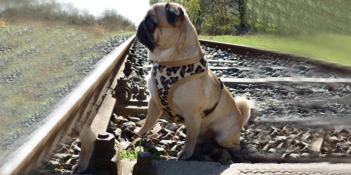 Viajar en tren